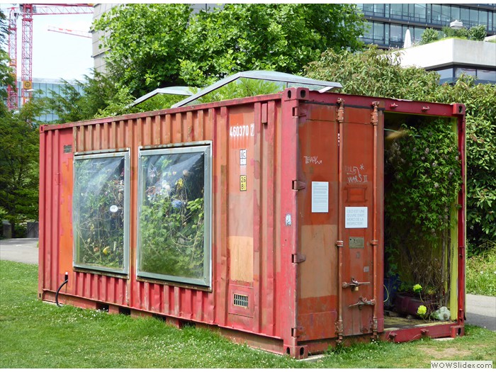 ... weiter an einem Pflanzen-Container von TOO EARLY TO PANIC...